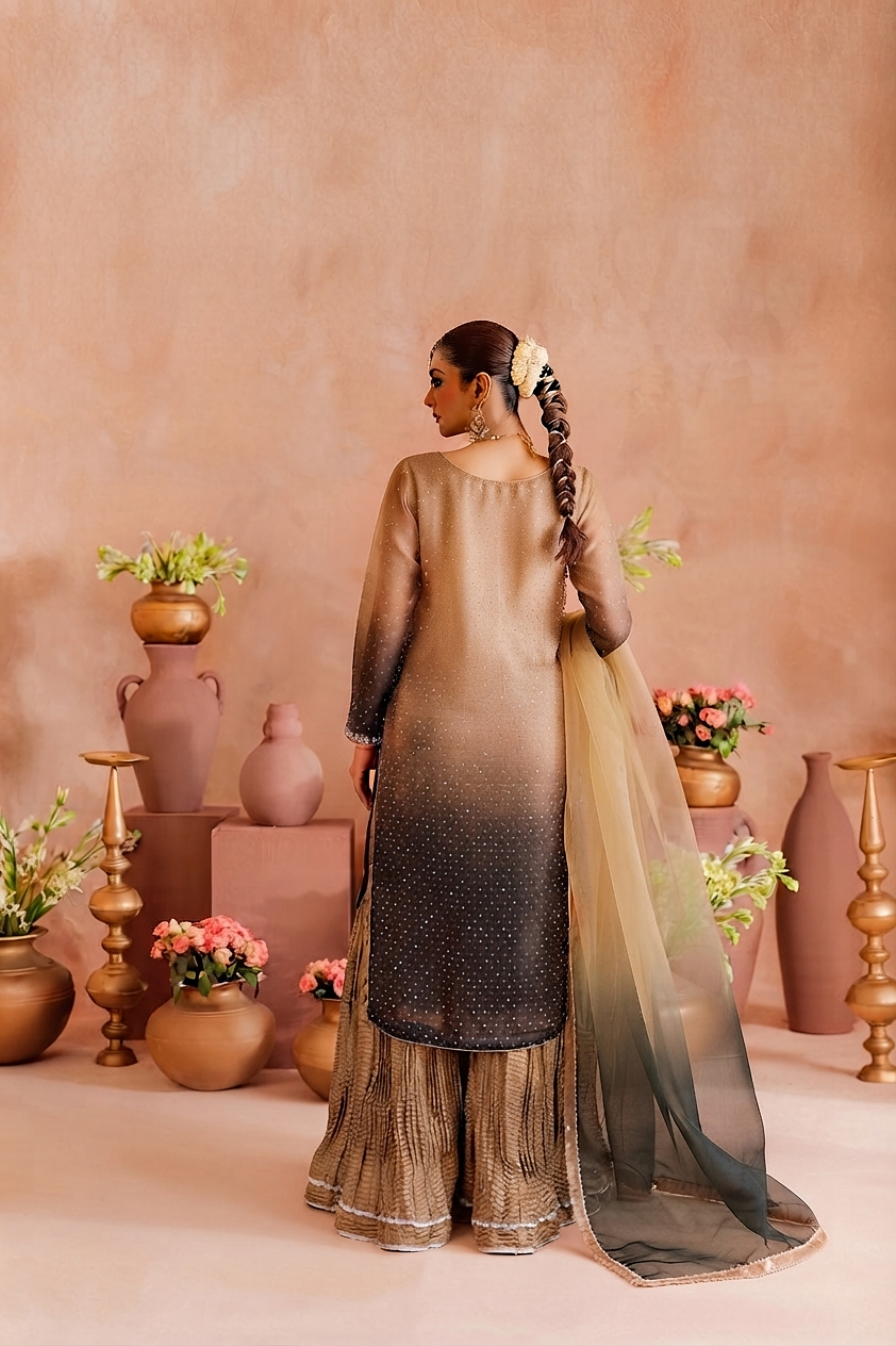 Shaded Sheesha Silk Hand-Embroidered Gharara Set
